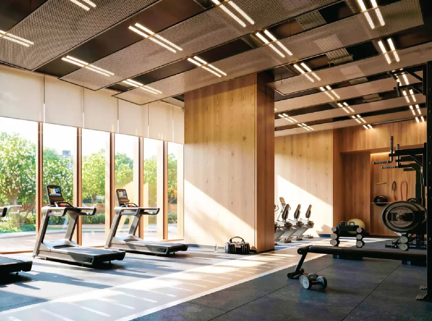 State-of-the-art Gymnasium